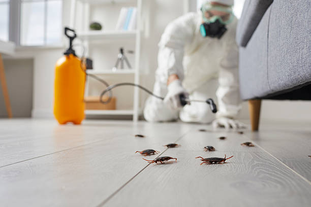 Commercial Kitchen Cockroach Control in Shenandoah Junction